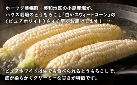 【先行受付】小島農場の白いスウィートコーン!ピュアホワイト6本入り【配送不可地域：離島・沖縄県】 BHRG013