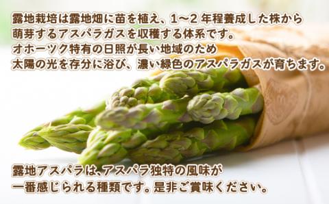[先行受付]2025年産 露地アスパラ M・Lサイズセット 約1kg【配送不可地域：離島】 BHRG014