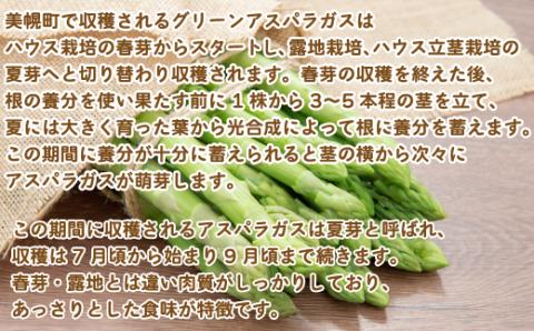 【先行予約】2026年産 ハウスアスパラ(夏芽) L サイズ 約1kg【配送不可地域：離島】（2026年7月1日より順次発送） BHRG017