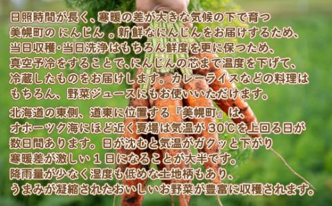 【2026年産 先行予約】北海道JAびほろ にんじん5kg【配送不可地域：離島】（2026年7月より順次発送） BHRG019