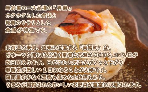 じゃがいも「男爵」10kg BHRG020