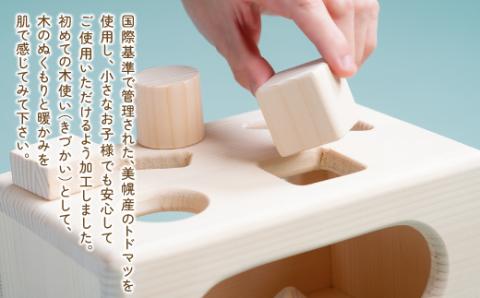 初めての木使い（きづかい）車パズル BHRG099