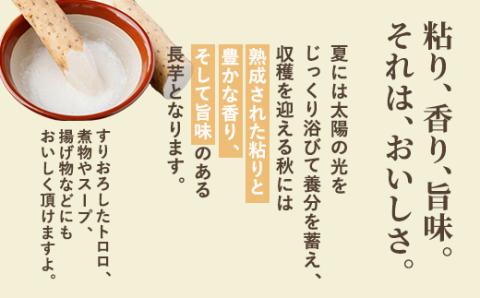 [先行受付]「数量限定」長いも・5kg【配送不可地域：離島】（2025年11月中旬より順次発送） BHRG037
