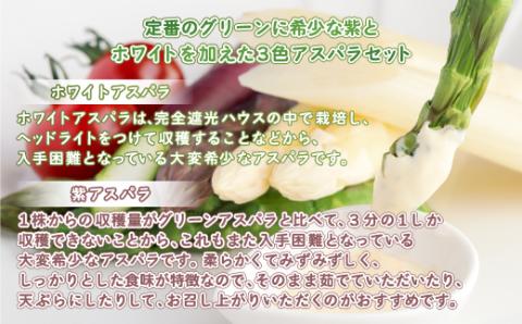 【先行受付】数量限定 定番のグリーンに希少な紫とホワイトを加えた3色アスパラセット 計約1kg BHRG065