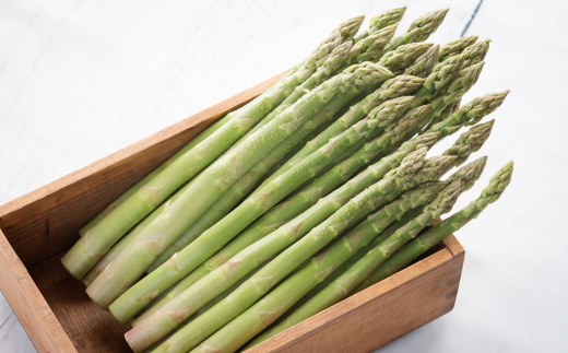 2026年産 柔らかくて瑞々しい朝取りグリーンアスパラ(春芽)2L 1kg【配送不可地域：離島】 BHRG029