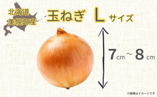 【令和7年産 先行受付】「数量限定訳あり品」玉ねぎMサイズ・20kg（2026年1月より順次発送） BHRG063