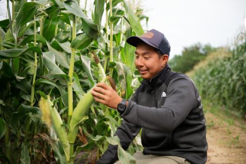 [先行受付]2026年産 スウィートコーン!「はちみつのような甘さのミエルコーン」11本【配送不可地域：離島】 BHRG004