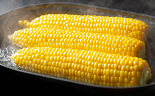 [先行受付]2026年産 スウィートコーン!「はちみつのような甘さのミエルコーン」11本【配送不可地域：離島】 BHRG004