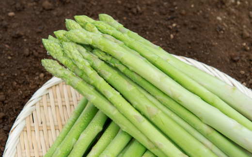 【先行予約】2026年産 ハウスアスパラ(夏芽)2Lサイズ 約1kg【配送不可地域：離島】（2026年7月1日より順次発送） BHRG016