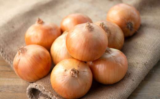 【令和8年産 先行予約】玉ねぎLサイズ・20kg（2026年10月上旬より順次発送） BHRG030