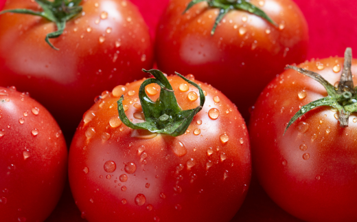 【先行予約】全5回定期便 オールシーズン アスパラ推しの野菜リレー（2025年4月から発送開始） 【 ふるさと納税 人気 おすすめ ランキング アスパラ アスパラガス トマト じゃがいも にんじん 玉ねぎ 野菜 新鮮 セット 詰め合わせ 定期便 北海道 美幌町 送料無料 】 BHRG082