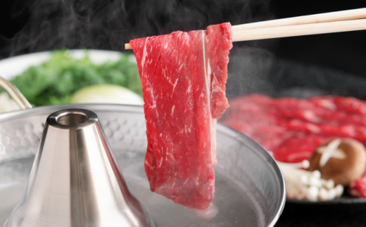 【12/21までのご入金で年内発送】【田村精肉店】北海道産ブランド牛の赤身1kg(スライス800g・切り落とし200g) 【配送不可地域：離島】 BHRJ011