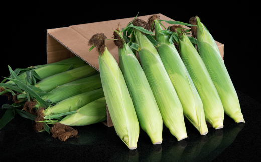 [先行受付]2026年産 スウィートコーン!「はちみつのような甘さのミエルコーン」11本【配送不可地域：離島】 BHRG004