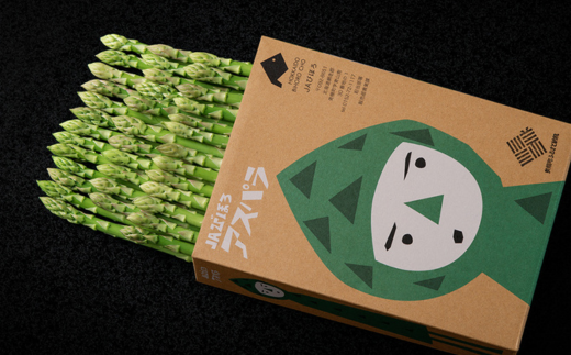 【先行予約】2026年産 ハウスアスパラ(夏芽) L サイズ 約1kg【配送不可地域：離島】（2026年7月1日より順次発送） BHRG017