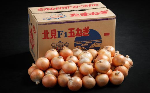 【令和8年産 先行予約】玉ねぎLサイズ・20kg（2026年10月上旬より順次発送） BHRG030