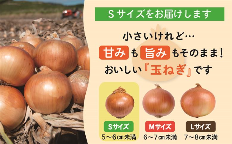 【数量限定訳あり品】玉ねぎＳサイズ・10kg（2025年12月上旬から順次発送）  BHRG147