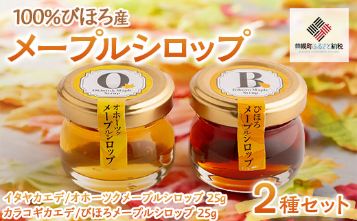 ミニサイズも新登場！100％びほろ「メープルシロップミニ」2種セット BHRG146