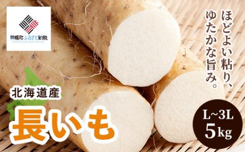 [先行受付]「数量限定」長いも・5kg【配送不可地域：離島】（2025年11月中旬より順次発送） BHRG037
