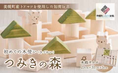 初めての木使(きづか)い「つみきの森」 BHRG092