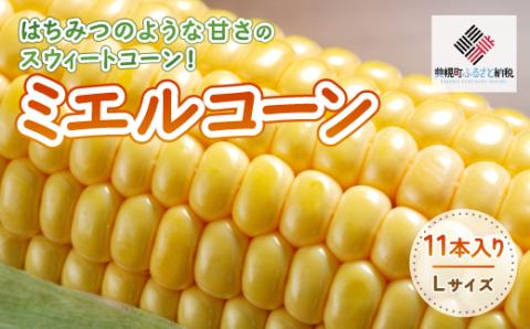 [先行受付]2026年産 スウィートコーン!「はちみつのような甘さのミエルコーン」11本【配送不可地域：離島】 BHRG004