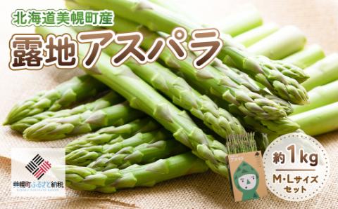 [先行受付]2025年産 露地アスパラ M・Lサイズセット 約1kg【配送不可地域：離島】 BHRG014