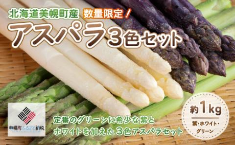 【先行受付】数量限定 定番のグリーンに希少な紫とホワイトを加えた3色アスパラセット 計約1kg BHRG065