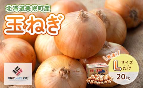 【令和8年産 先行予約】玉ねぎLサイズ・20kg（2026年10月上旬より順次発送） BHRG030
