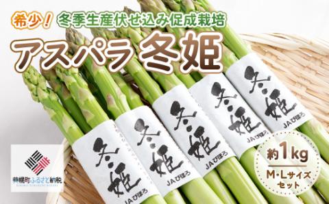 希少!冬期生産伏せ込み促成栽培アスパラ「冬姫」M〜L 約1kg[配送不可地域:離島]