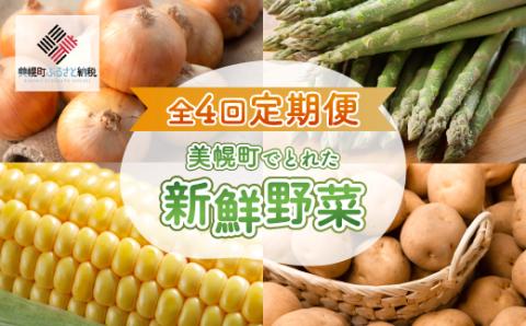 [定期便]先行予約 美幌町でとれた新鮮野菜〜全4回〜 2024年3月発送開始予定