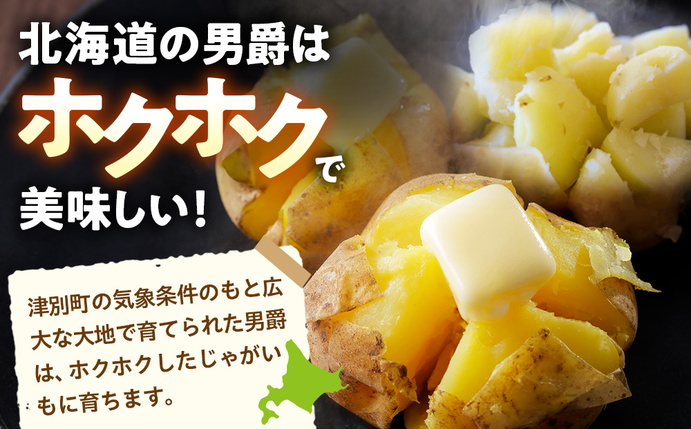 R8年産先行受付 じゃがいも 5kg 特別栽培（男爵） | ジャガイモ 芋 男爵 馬鈴薯 大容量 新鮮 野菜 煮物 カレー シチュー ポテト 保存 特産 産地直送 北海道 津別町 送料無料 5kg