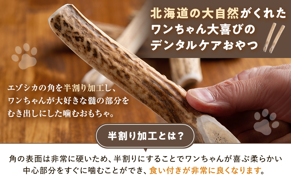 プレシカ　鹿の角　Lサイズ　（15センチ半割り１本） | 犬 ペット用 愛犬用 おもちゃ 玩具 鹿角 エゾシカ 歯みがき ガム デンタルケア ストレス発散 天然 無添加 北海道 津別町 送料無料 L