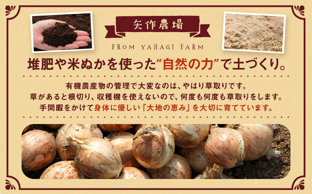 【先行受付】R8年産 有機栽培玉ねぎ 20kg | 玉ねぎ たまねぎ タマネギ 玉葱 大容量 オニオン 甘い 有機栽培 国産 産地直送 カレー ハンバーグ 煮込み 炒め物 北海道 津別町 送料無料