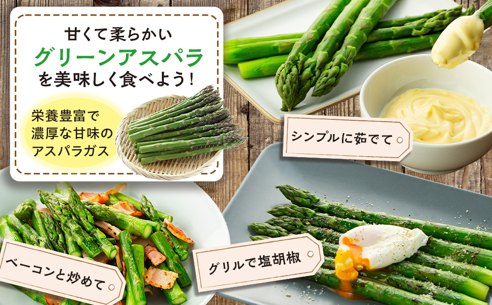 【先行受付】R8年産 アスパラガス 約1.5kg 特別栽培 細川農園 ｜グリーンアスパラ グリーンアスパラガス アスパラ 大容量 野菜 春野菜 朝採れ 新鮮 極太 自然 国産 家庭用 旬 特産 産地直送 北海道 津別町 送料無料
