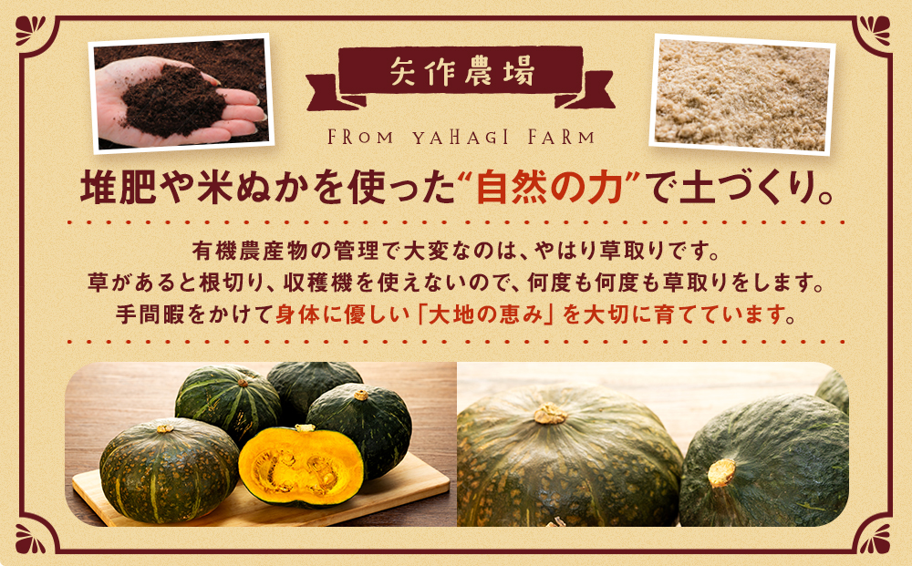 【先行受付】R8年産 有機栽培かぼちゃ 10kg | かぼちゃ カボチャ 南瓜 大容量 パンプキン 甘い 有機栽培 国産 産地直送 北海道 津別町 送料無料