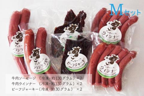ぎゅぎゅ～っとテラスセット（M） 3種6品 川瀬牧場 | 牛肉 ソーセージ ウインナー ビーフジャーキー セット ポトフ 100%牛肉使用 おつまみ 詰合せ 詰め合わせ 肉ギフト 北海道 津別町 送料無料