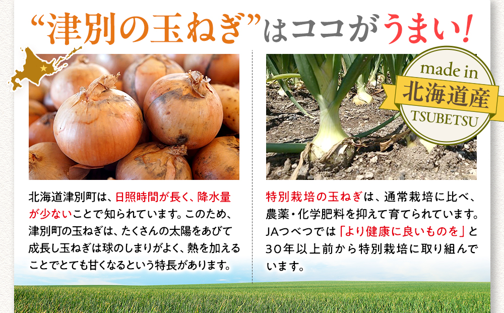 R7年産先行受付 玉ねぎ 5kg 特別栽培 | 玉ねぎ たまねぎ タマネギ 玉葱 大容量 オニオン 甘い 減農薬 特別栽培 国産 カレー ハンバーグ 煮込み 炒め物 北海道 津別町 送料無料 ５kg