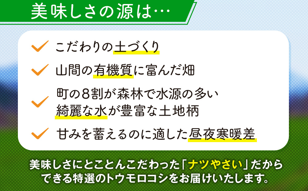 【先行受付】R8年産 トウモロコシ（ゴールドラッシュ） 5本から6本 ピンクの八百屋 ナツやさい | とうもろこし トウモロコシ ゴールドラッシュ 旬 新鮮 野菜 夏 甘い 産地直送 北海道 津別町 送料無料