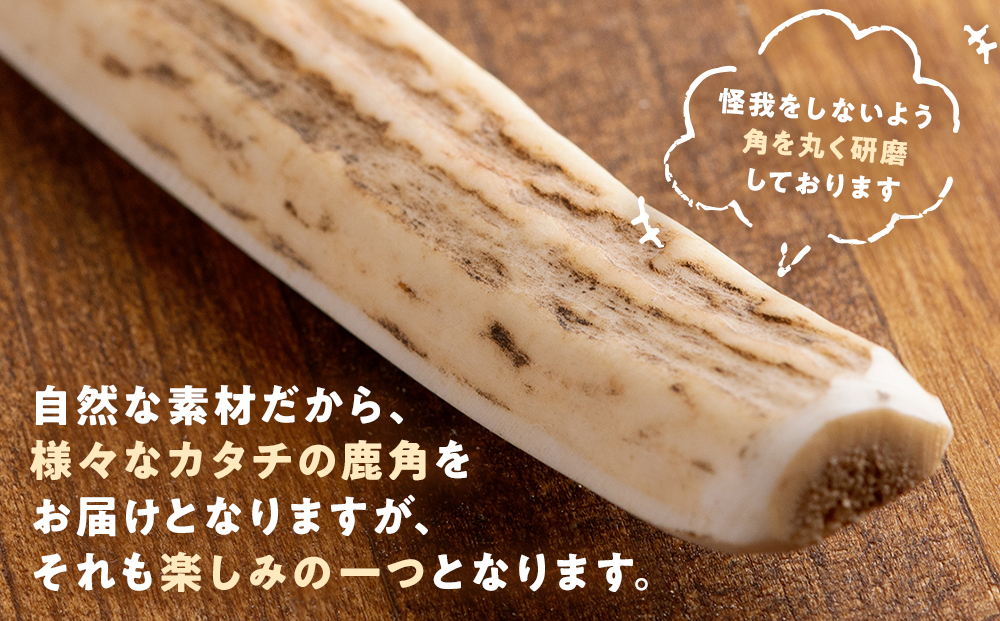 プレシカ　鹿の角　Sサイズ　（15センチ半割り１本） | 犬 ペット用 愛犬用 おもちゃ 玩具 鹿角 エゾシカ 歯みがき ガム デンタルケア ストレス発散 天然 無添加 北海道 津別町 送料無料 S