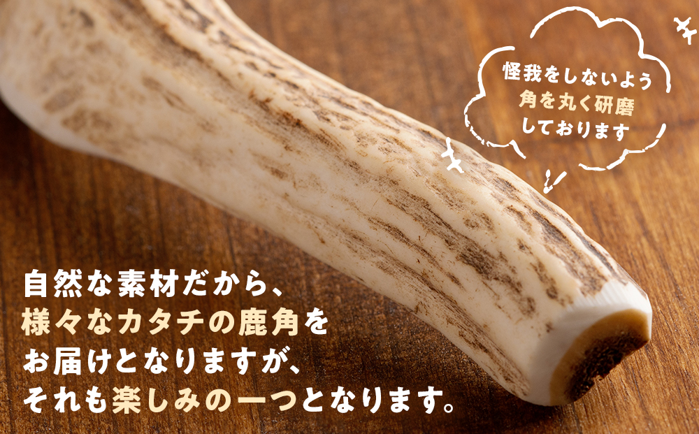 プレシカ　鹿の角　Mサイズ　（15センチ半割り１本） | 犬 ペット用 愛犬用 おもちゃ 玩具 鹿角 エゾシカ 歯みがき ガム デンタルケア ストレス発散 天然 無添加 北海道 津別町 送料無料 M