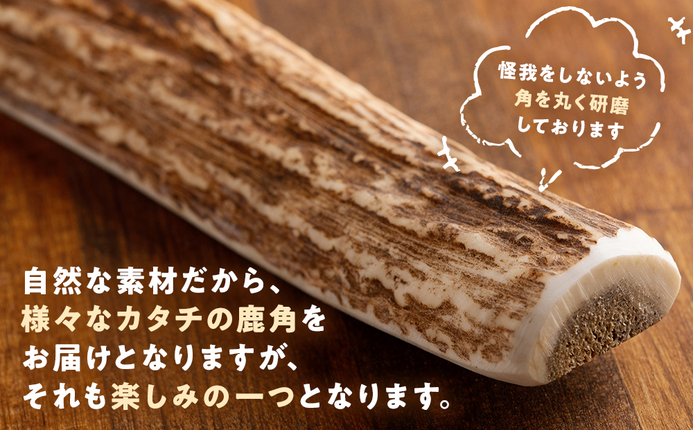 プレシカ　鹿の角　LLサイズ　（15センチ半割り１本） | 犬 ペット用 愛犬用 おもちゃ 玩具 鹿角 エゾシカ 歯みがき ガム デンタルケア ストレス発散 天然 無添加 北海道 津別町 送料無料 LL