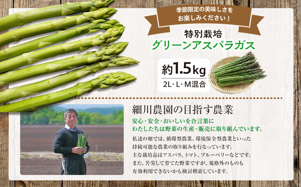 【先行受付】R8年産 アスパラガス 約1.5kg 特別栽培 細川農園 ｜グリーンアスパラ グリーンアスパラガス アスパラ 大容量 野菜 春野菜 朝採れ 新鮮 極太 自然 国産 家庭用 旬 特産 産地直送 北海道 津別町 送料無料