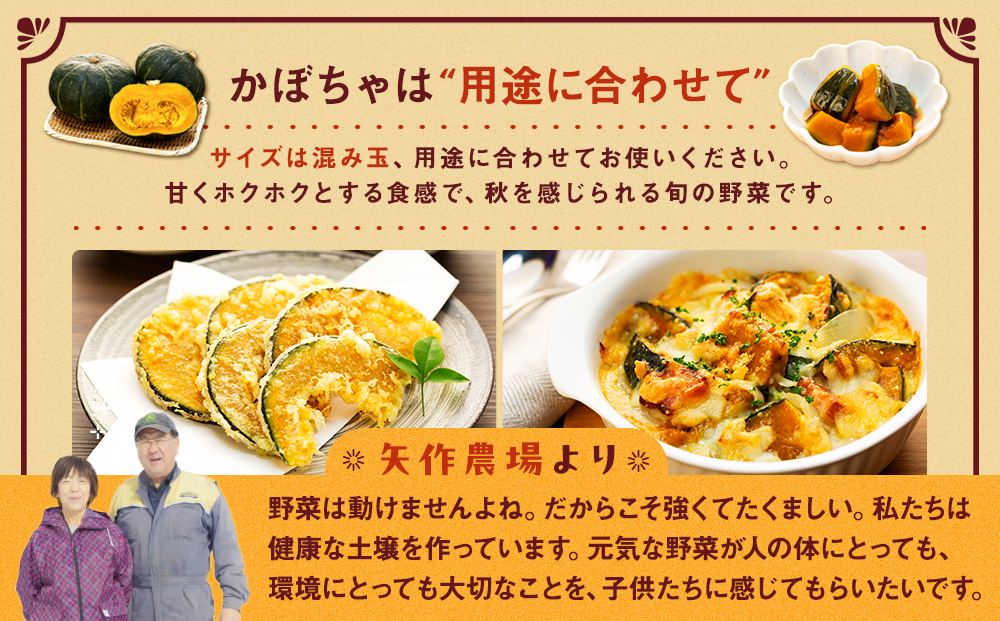 【先行受付】R8年産 有機栽培かぼちゃ 10kg | かぼちゃ カボチャ 南瓜 大容量 パンプキン 甘い 有機栽培 国産 産地直送 北海道 津別町 送料無料