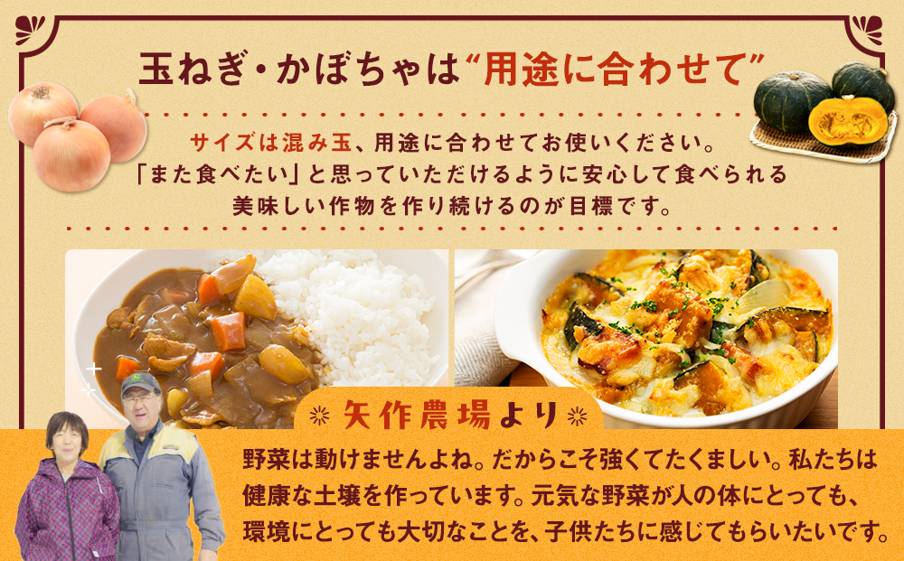【先行受付】R8年産 有機栽培玉ねぎ・かぼちゃセット 合計20kg | 玉ねぎ たまねぎ タマネギ 玉葱 かぼちゃ カボチャ 南瓜 セット 詰め合わせ 大容量 オニオン パンプキン 甘い 有機栽培 国産 産地直送 北海道 津別町 送料無料
