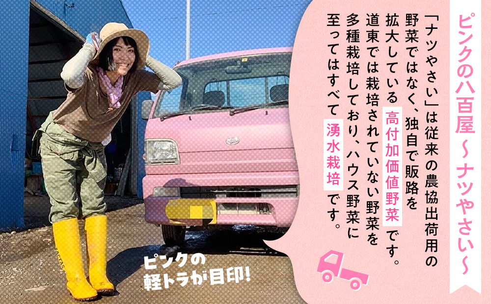 【先行受付】R8年産 トウモロコシ（ゴールドラッシュ） 5本から6本 ピンクの八百屋 ナツやさい | とうもろこし トウモロコシ ゴールドラッシュ 旬 新鮮 野菜 夏 甘い 産地直送 北海道 津別町 送料無料