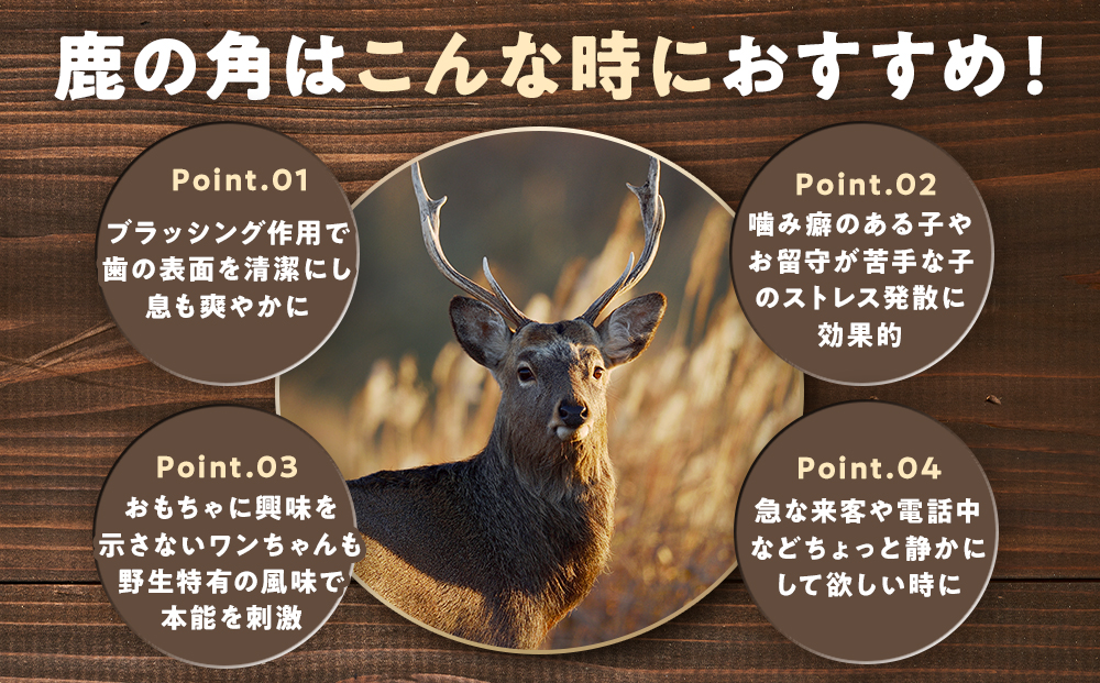 プレシカ　鹿の角　LLサイズ　（15センチ半割り１本） | 犬 ペット用 愛犬用 おもちゃ 玩具 鹿角 エゾシカ 歯みがき ガム デンタルケア ストレス発散 天然 無添加 北海道 津別町 送料無料 LL