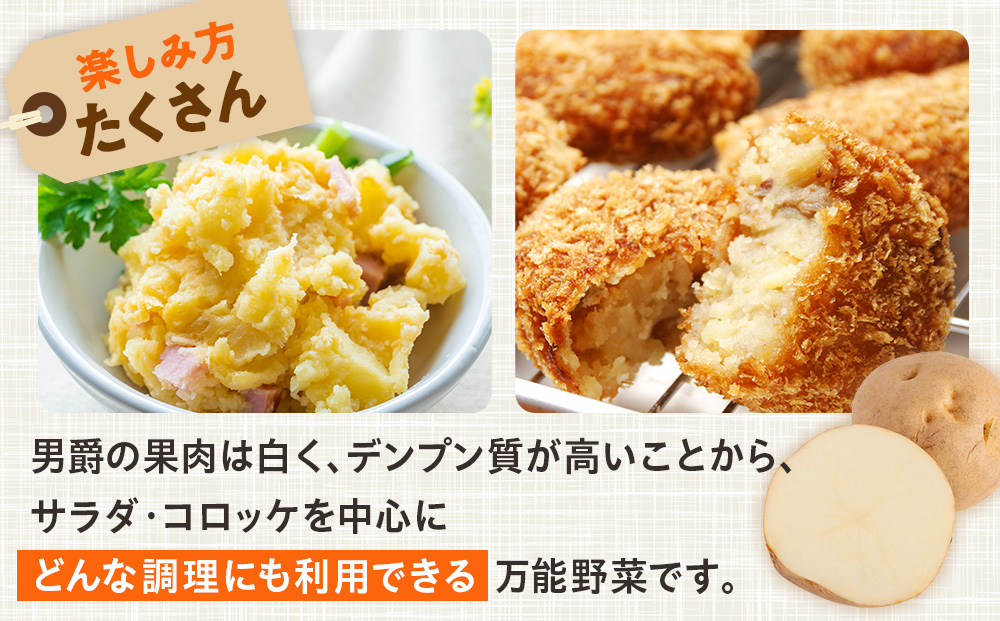 R8年産先行受付 じゃがいも 10kg 特別栽培（男爵） | ジャガイモ 芋 男爵 馬鈴薯 大容量 新鮮 野菜 煮物 カレー シチュー ポテト 保存 特産 産地直送 北海道 津別町 送料無料 10kg