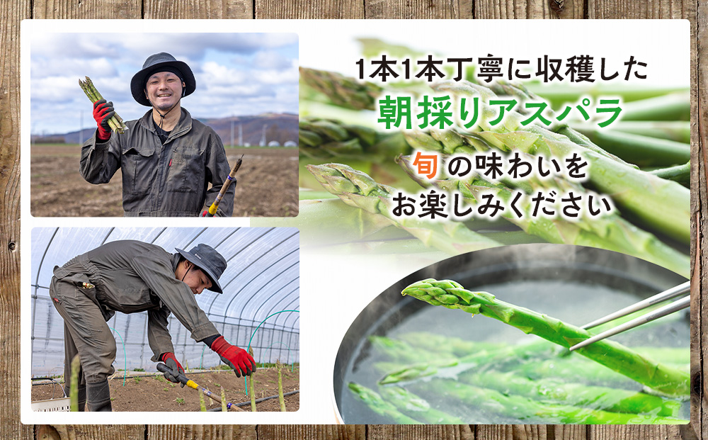 【先行受付】R8年産 アスパラガス 約1.5kg 特別栽培 細川農園 ｜グリーンアスパラ グリーンアスパラガス アスパラ 大容量 野菜 春野菜 朝採れ 新鮮 極太 自然 国産 家庭用 旬 特産 産地直送 北海道 津別町 送料無料