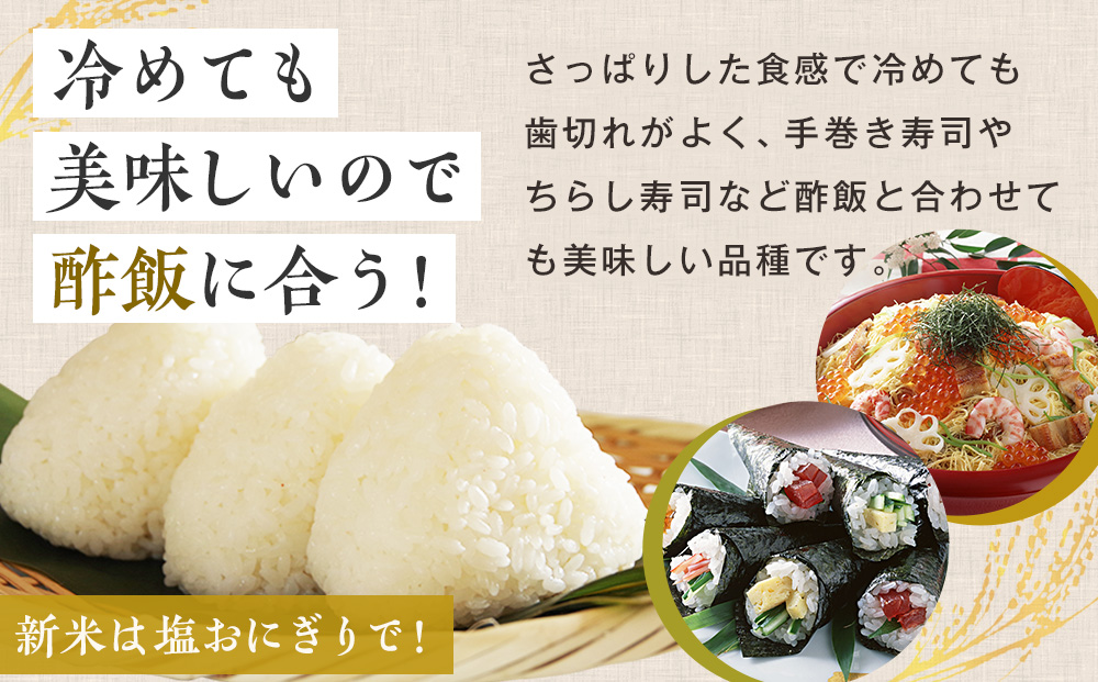 【令和7年産・早期予約受付】北海道産 津別町あっぱれ米（精米）5kg ５kg