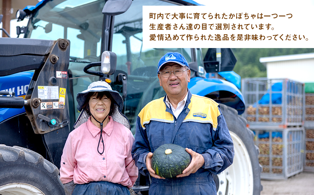 【先行受付】R8年産 有機栽培かぼちゃ 10kg | かぼちゃ カボチャ 南瓜 大容量 パンプキン 甘い 有機栽培 国産 産地直送 北海道 津別町 送料無料