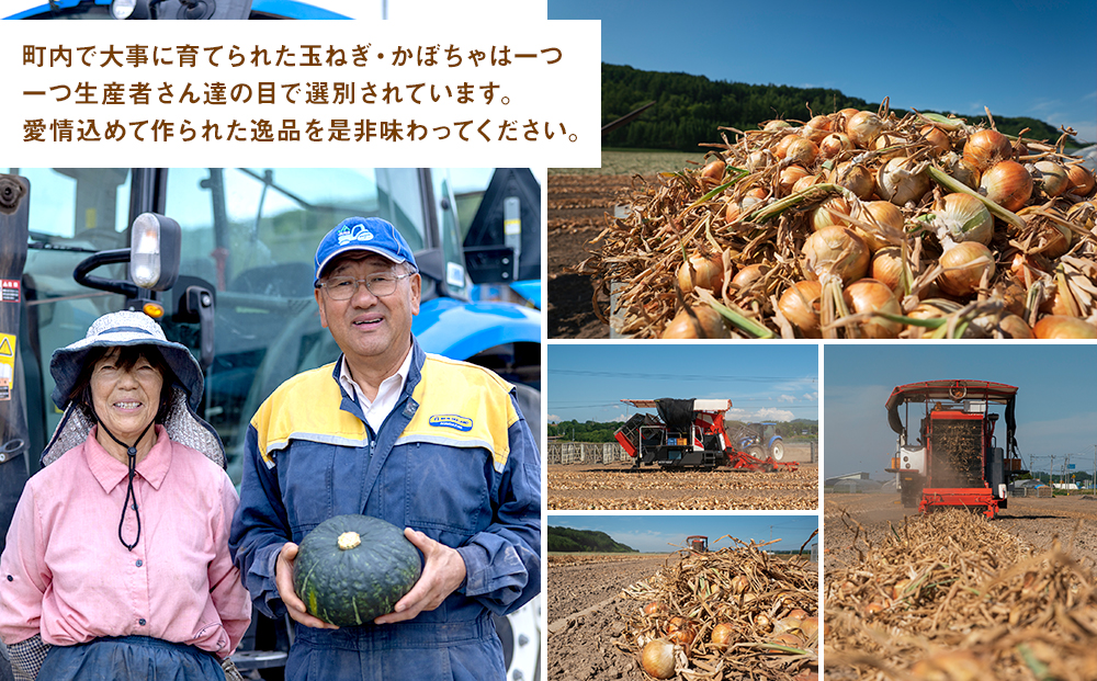 【先行受付】R8年産 有機栽培玉ねぎ・かぼちゃセット 合計20kg | 玉ねぎ たまねぎ タマネギ 玉葱 かぼちゃ カボチャ 南瓜 セット 詰め合わせ 大容量 オニオン パンプキン 甘い 有機栽培 国産 産地直送 北海道 津別町 送料無料